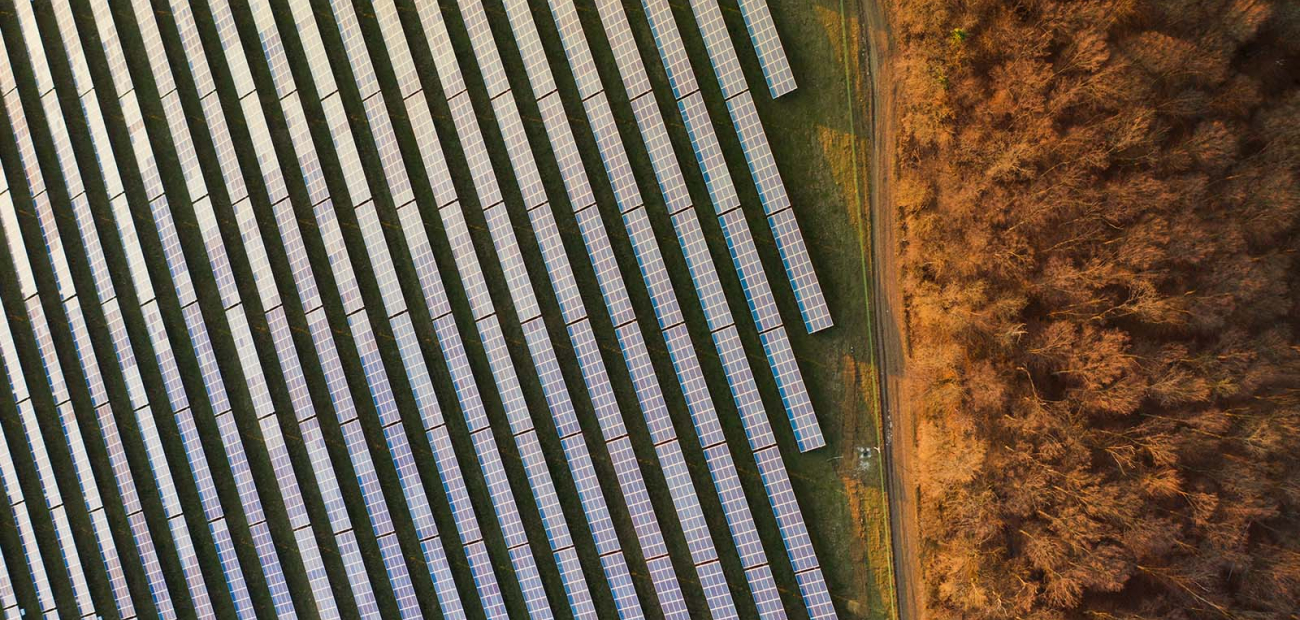 Drone shot of solar panels